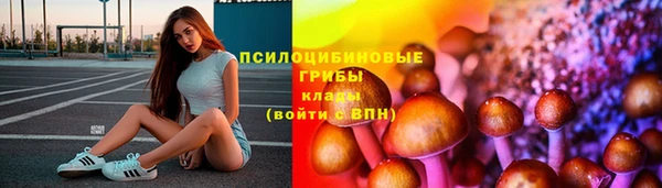 дмт Абинск