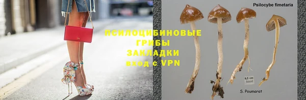 дмт Абинск