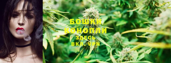 бошки Абаза