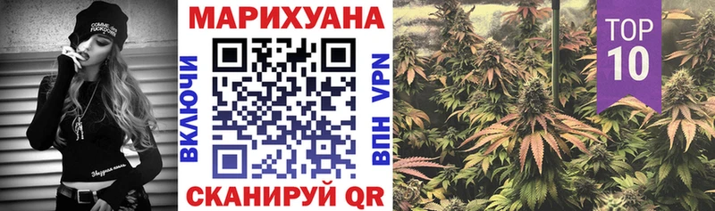Марихуана планчик  где можно купить   Палласовка 